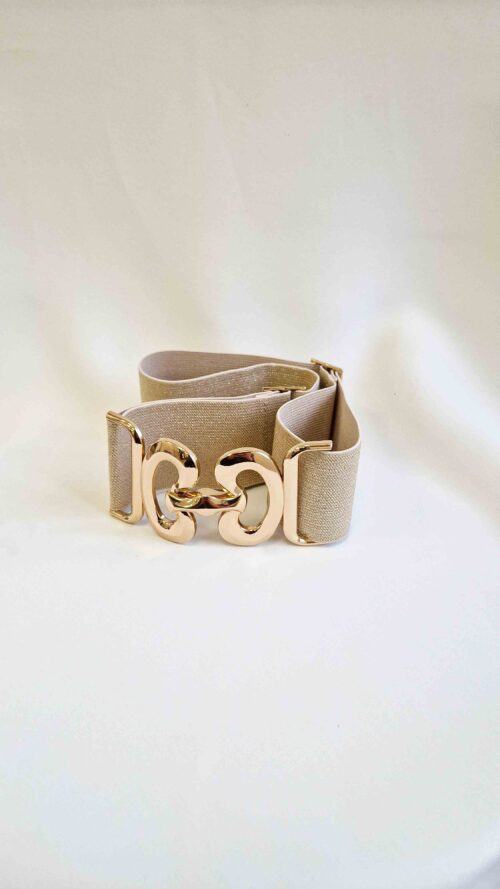 Elastyczny Szeroki Pasek Damski z Ozdobną Klamrą Nerka Złoty